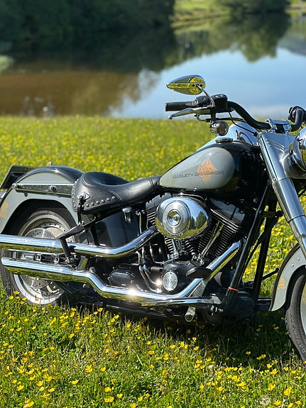 Harley-Davidson FLSTF Fat Boy 7 of 9