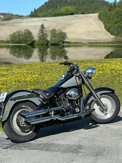 Harley-Davidson FLSTF Fat Boy 3 of 9
