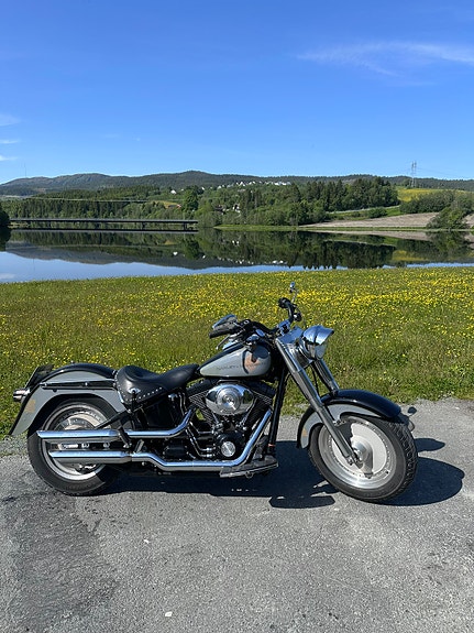 Harley-Davidson FLSTF Fat Boy 5 of 9
