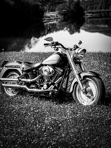 Harley-Davidson FLSTF Fat Boy 9 of 9
