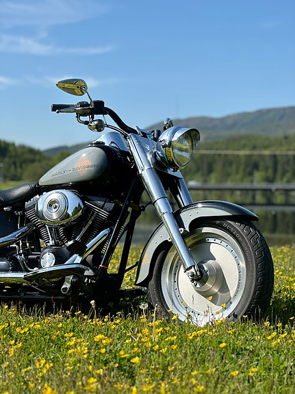 Harley-Davidson FLSTF Fat Boy 2 of 9