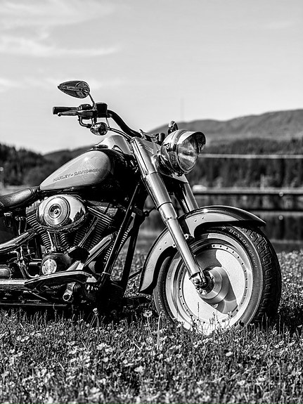Harley-Davidson FLSTF Fat Boy 8 of 9