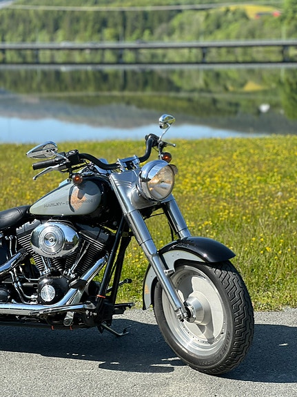 Harley-Davidson FLSTF Fat Boy 4 of 9