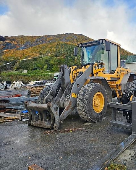Volvo L60F 4 of 11
