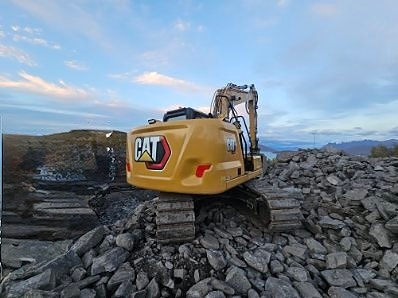 Cat 313-07 3 of 17