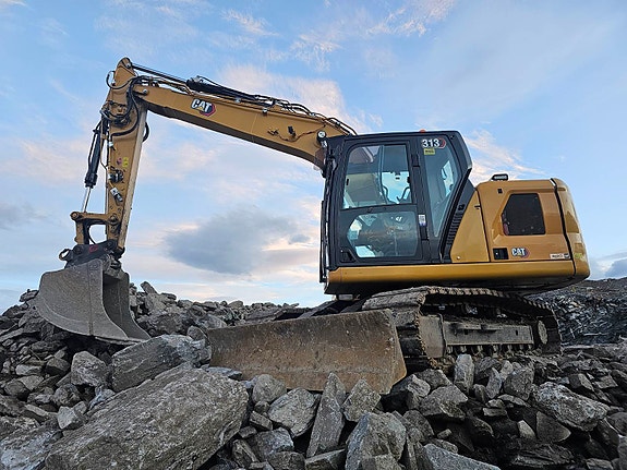 Cat 313-07 2 of 17