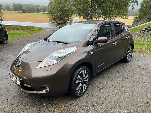 Nissan Leaf 3 of 19