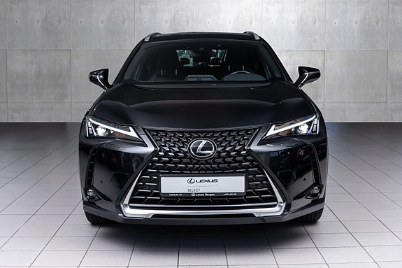Lexus UX300e 9 of 26