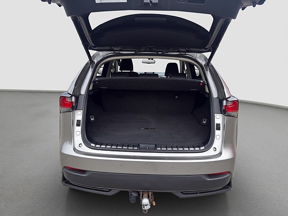 Lexus NX300h 21 of 26