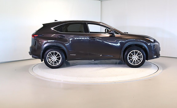 Lexus NX300h 6 of 30