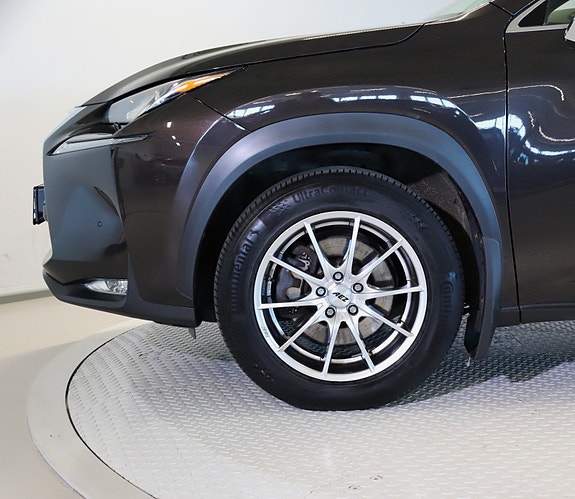 Lexus NX300h 9 of 30