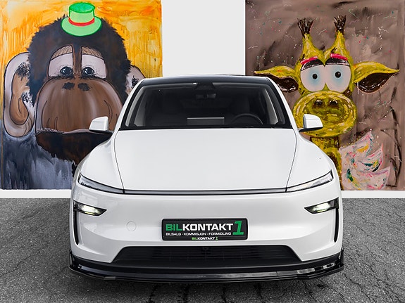 Tesla Model Y 3 of 30