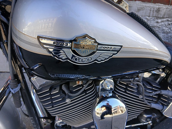 Harley-Davidson Fat Boy Jubileum FLSTF 10 of 13