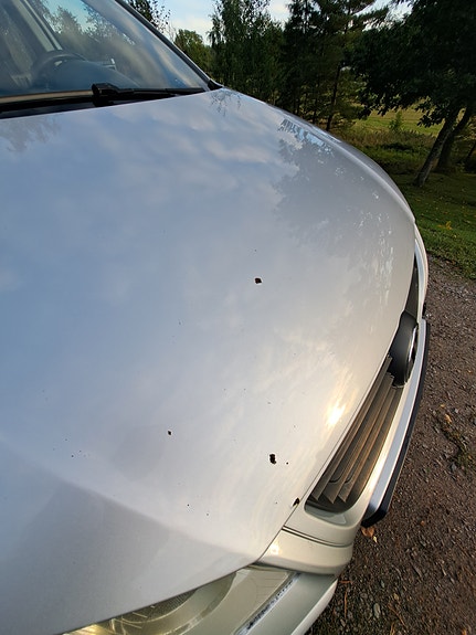 Volkswagen Polo 19 of 23