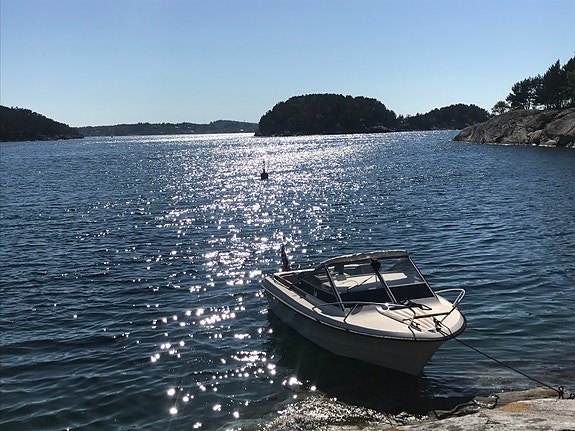 Draco 21 Sportscab 1985 – prosjekt – MerCruiser 4.3 EFI 4 of 15