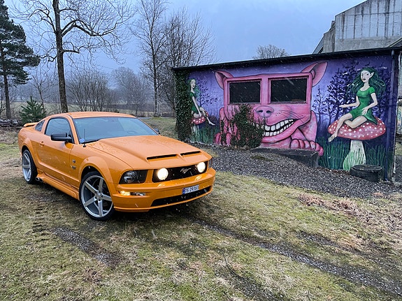 Ford Mustang 19 of 30