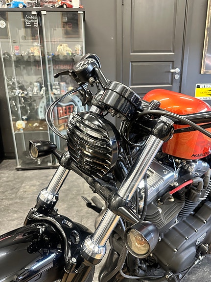 Harley-Davidson XL 1200X Forty-Eight 8 of 14