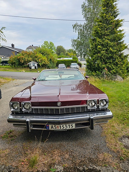 Buick Le Sabre 3 of 30