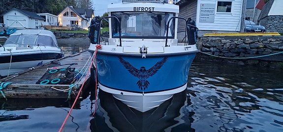 Quicksilver 805 Pilothouse 2020 – Mercury 225 – topputstyrt 3 of 10