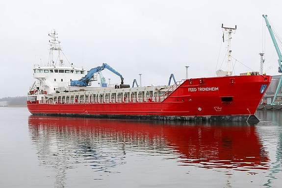 Feed Trondheim