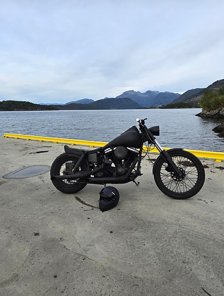 Harley-Davidson FXWG 1340 Wide Glide 4 of 10