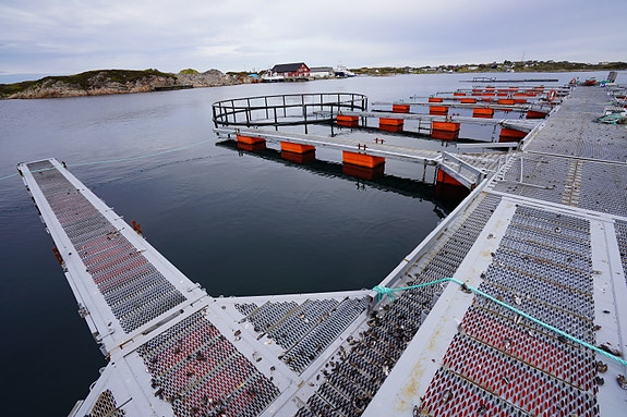 Bilde av 'Stålanlegg'