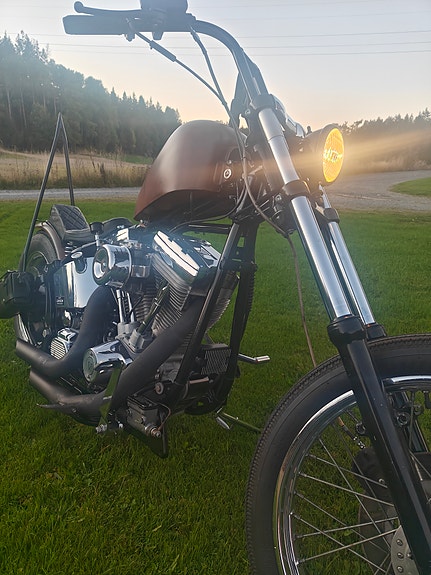 Harley-Davidson FLSTC Heritage Softail Classic 2 of 9