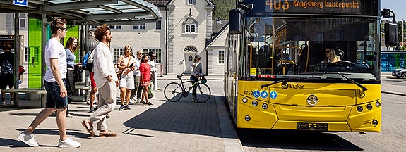 Buskerud fylkeskommune, Brakar logo