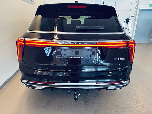 Hongqi E-HS9 8 of 30