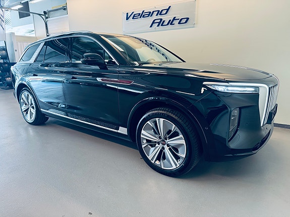 Hongqi E-HS9 5 of 30