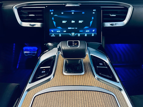 Hongqi E-HS9 21 of 30