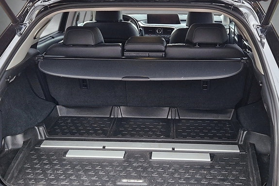 Lexus RX450h 23 of 30