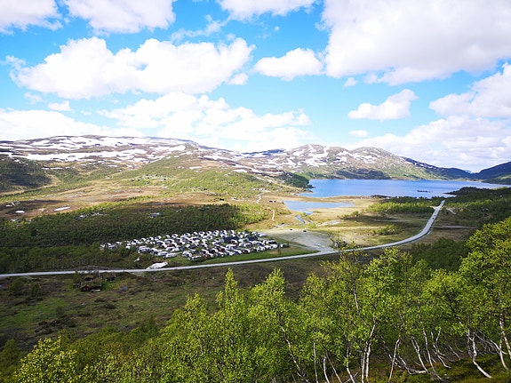 Bjølseth 650 m/Spikertelt! 22 of 24