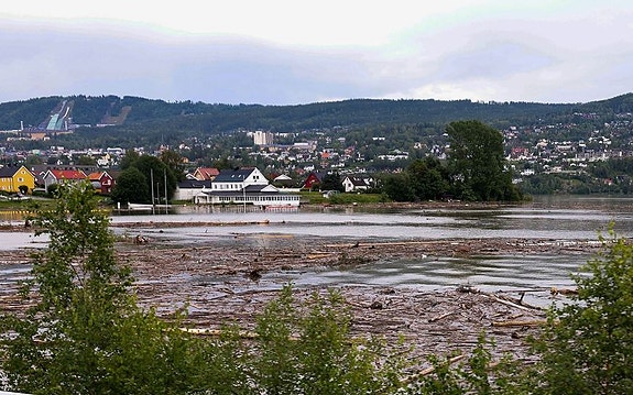 Bilde 1 av 4 i jobbannonse-galleriet