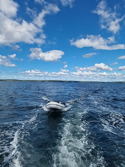 Rib zodiac Pris kan diskuteres 12 of 20