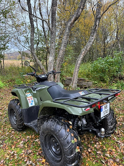 Yamaha Kodiak 450 4 of 30