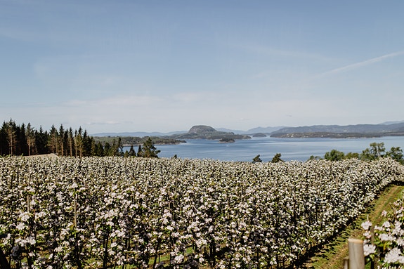 I vekedagane har me stadig besøk av bussgrupper til omvisning i hagane og god mat Foto: Lillian Nordbø