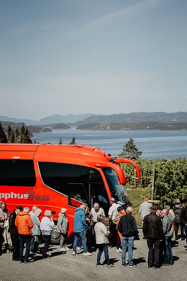 Me har vår egen eplemost frå eplene våre Foto: Lillian Nordbø