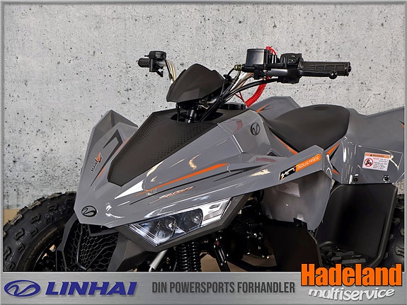 Linhai 110 Racing 2 of 7