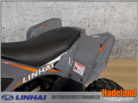 Linhai 110 Racing 3 of 7