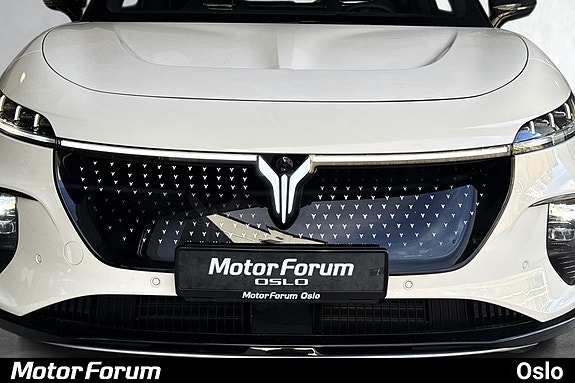 Detaljert frontgrill med tydelig emblemdesign i funksjonell stil.