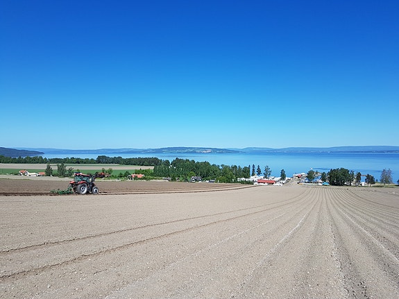 Utsikten fra kontoret på Reinsby Gård