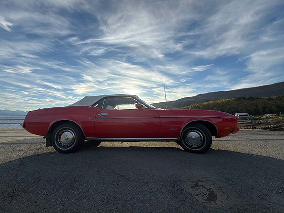 Ford Mustang 3 of 21