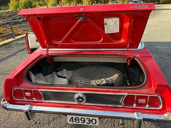 Ford Mustang 21 of 21