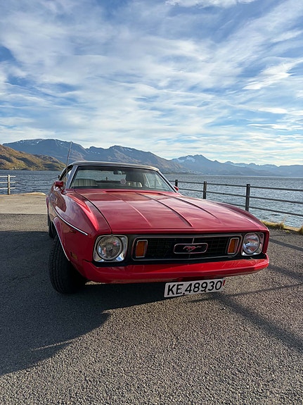 Ford Mustang 8 of 21