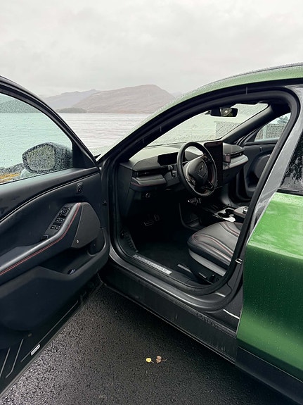Ford Mustang Mach-E 6 of 15