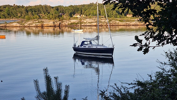 Hanse 342 3 of 17