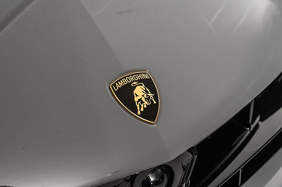 Lamborghini Urus 11 of 30
