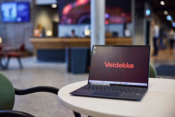 Bilde 1 av 1 i jobbannonse-galleriet