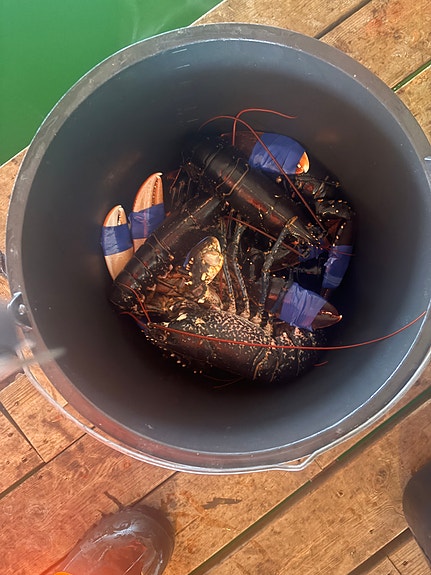 Brukt godt utrustet båt, brukt til hummer og krabbe fiske. 14 of 14